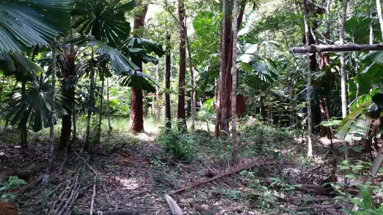Sixth view of Homely land listing, 147 Wattle Close Cow Bay, Daintree QLD 4873
