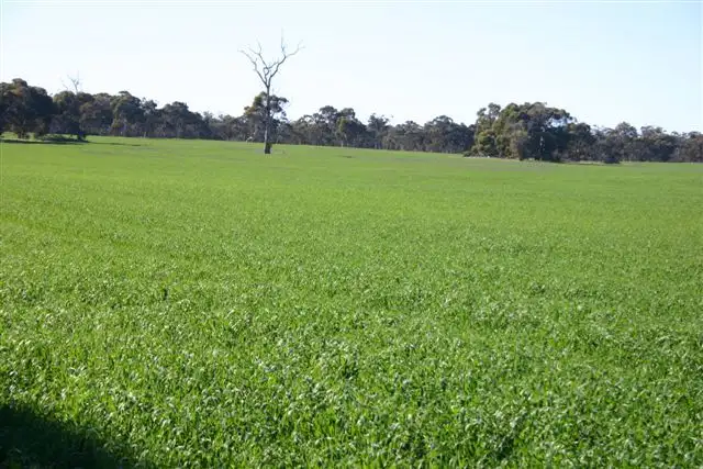 Sixth view of Homely rural property listing, 23843 Popanyinning West Road, Popanyinning WA 6309