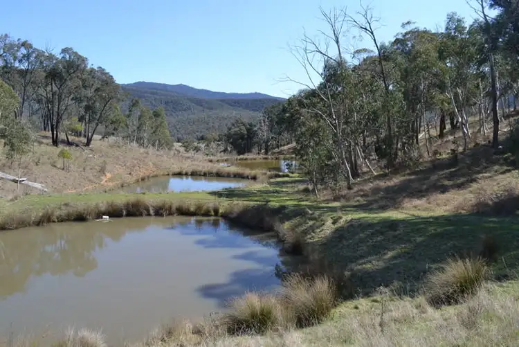 Fifth view of Homely rural property listing, 169 Porphery Hill Track, Benambra VIC 3900
