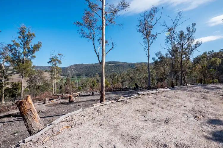 Fourth view of Homely land listing, Lot 1 Link Road, Colebrook TAS 7027