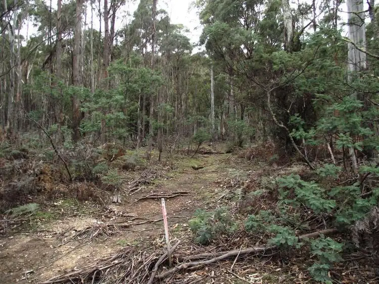 Fifth view of Homely rural property listing, . Henry Street, Mangana TAS 7214