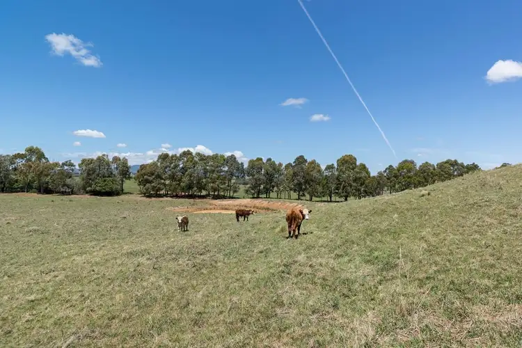 Fourth view of Homely land listing, 74 Lemmons Road, Orange NSW 2800