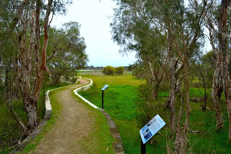 Sixth view of Homely house listing, 35 Dumsday Drive, Forrestdale WA 6112