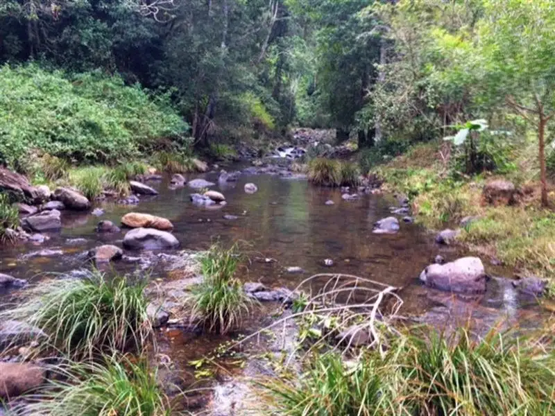 Main view of Homely rural property listing, 496 Gungas Road, Nimbin NSW 2480