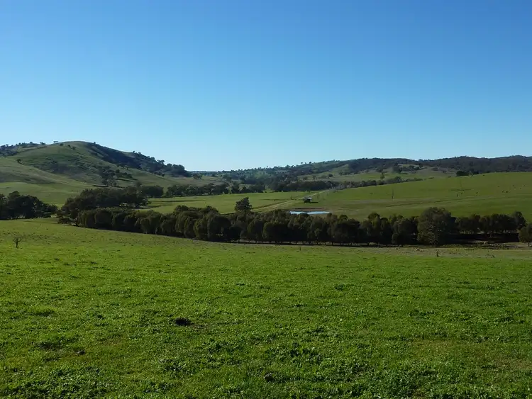 Seventh view of Homely rural property listing, 146 Pulletop Poad, Wagga Wagga NSW 2650