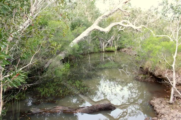 Fifth view of Homely land listing, Lot 140 Murphy Road, Captain Creek QLD 4677