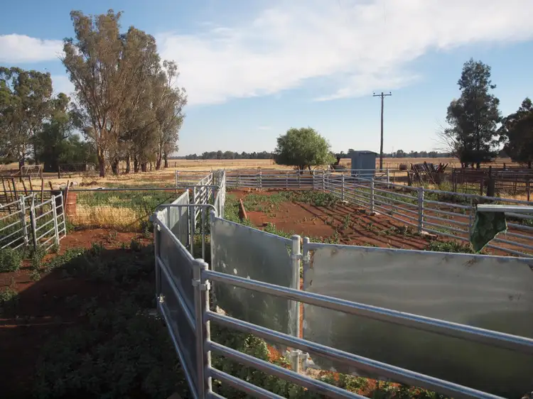 Fourth view of Homely rural property listing, - Pinehurst, West Wyalong NSW 2671