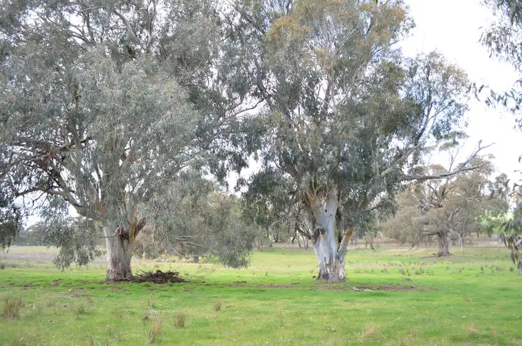 Seventh view of Homely rural property listing, Address available on request