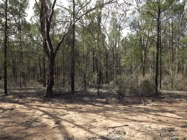 Seventh view of Homely rural property listing, Lot Kurrajong Rd, Coonabarabran NSW 2357