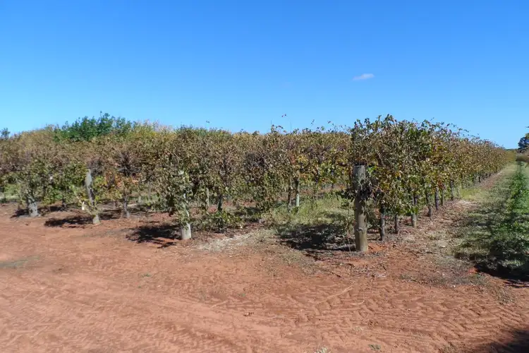 Sixth view of Homely land listing, 1 & 2 Tarcoola Street, Renmark SA 5341