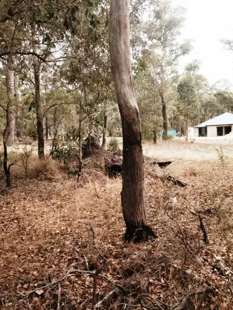 Fifth view of Homely land listing, 29 (L344) Honeysuckle Glen, Cowaramup WA 6284