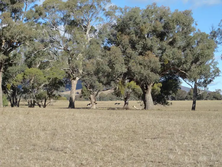 Second view of Homely rural property listing, 1817 Gundowring Road, Gundowring VIC 3691