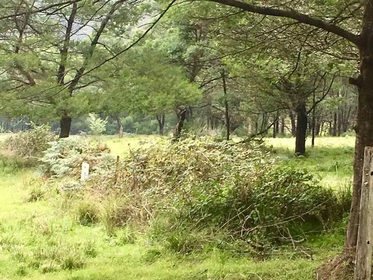 Fifth view of Homely land listing, Lots 25 & 121 Eurobodalla Road, Cadgee NSW 2545