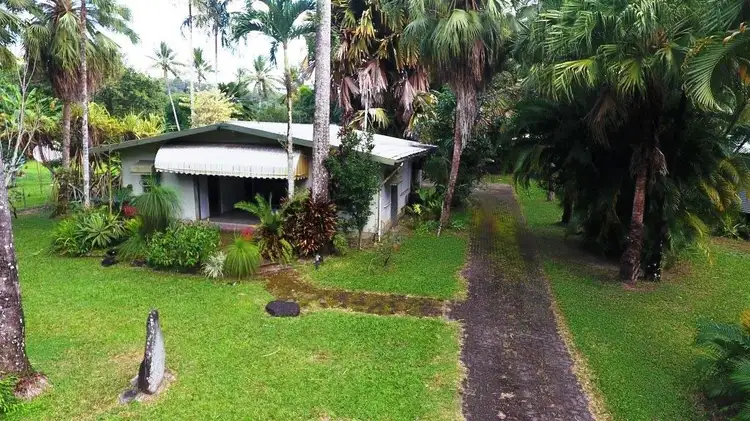 4 Douglas Street, Daintree QLD 4873