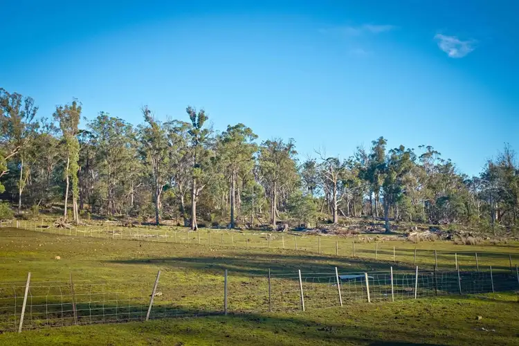 Seventh view of Homely rural property listing, 762 Adelphi Road, Whitemore TAS 7303