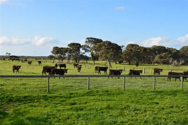 Third view of Homely rural property listing, Sec 57,109,213 Lake Hawdon Road, Robe SA 5276