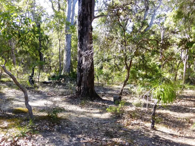 Third view of Homely land listing, 12 Hale Avenue, Molloy Island WA 6290