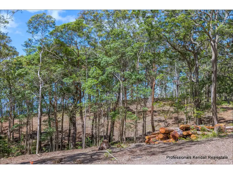 Main view of Homely land listing, Lot 4/106 Wongawallan Road, Tamborine Mountain QLD 4272