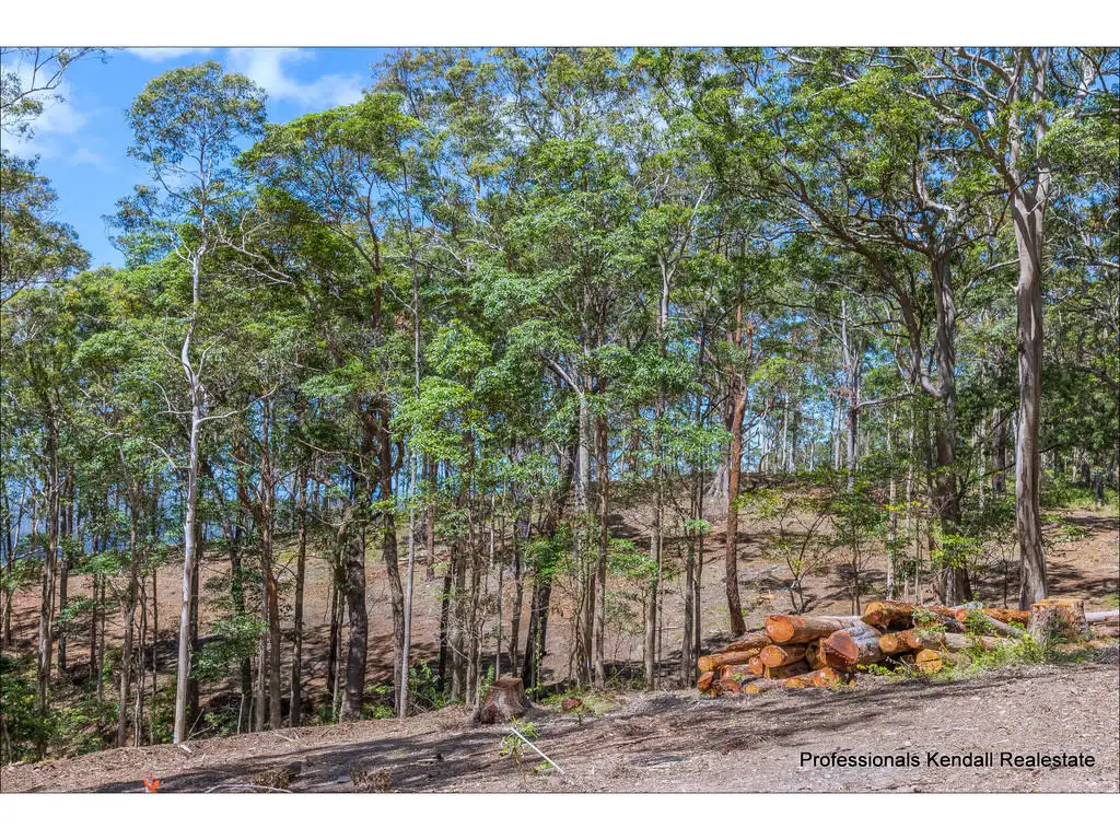 Main view of Homely land listing, Lot 4/106 Wongawallan Road, Tamborine Mountain QLD 4272