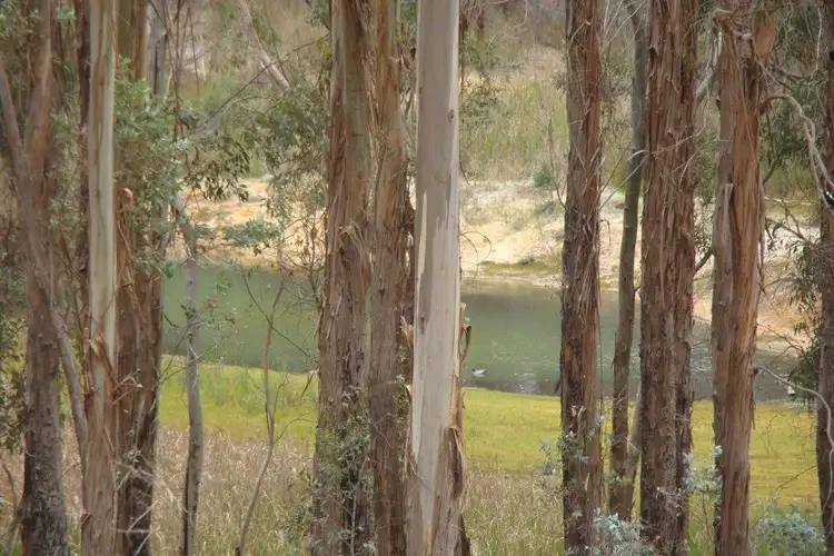 Second view of Homely rural property listing, 25 Stephen Street, Bridgetown WA 6255