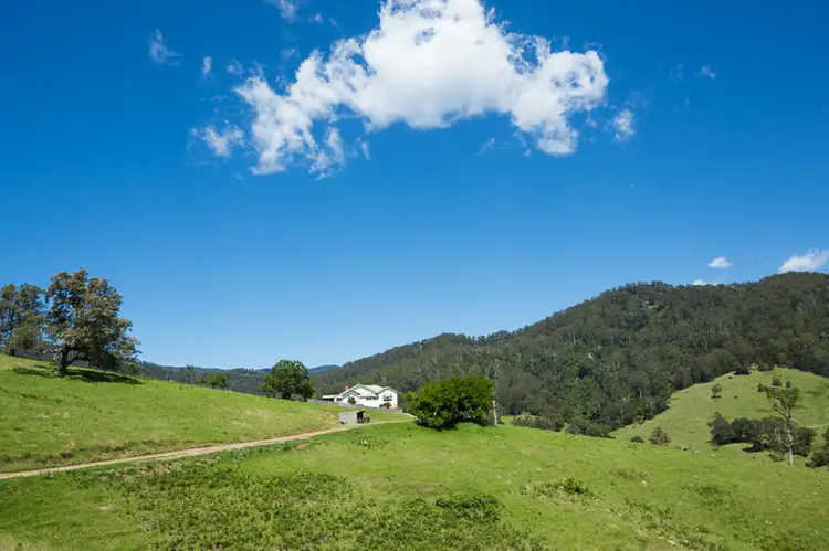 Second view of Homely rural property listing, 472 County Boundary Rd, Cobargo NSW 2550