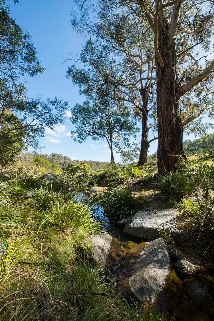 Third view of Homely house listing, 2866 MOUNT DARRAGH ROAD, Wyndham NSW 2550