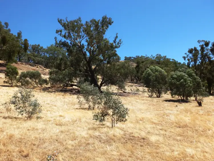 Fourth view of Homely rural property listing, 156 Stawell-Avoca Rd, Moonambel VIC 3478