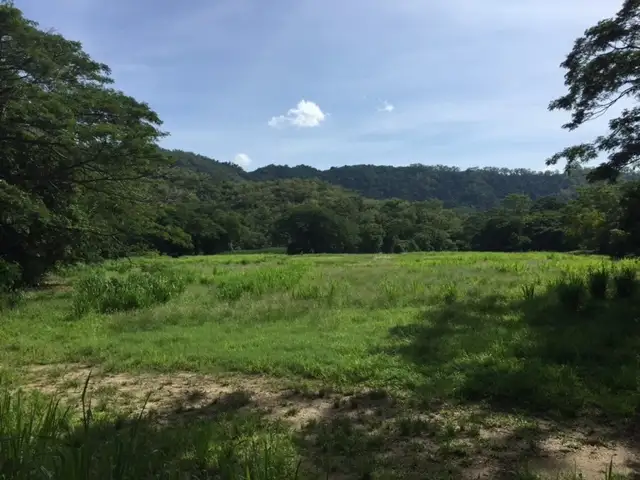 Lot 38 Connolly Road, Mowbray QLD 4877