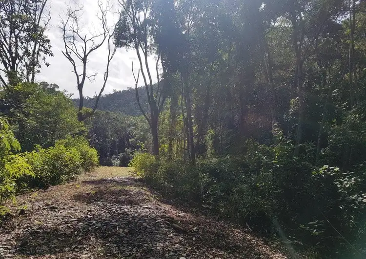 Fourth view of Homely land listing, 66 George Road Forest Creek, Daintree QLD 4873