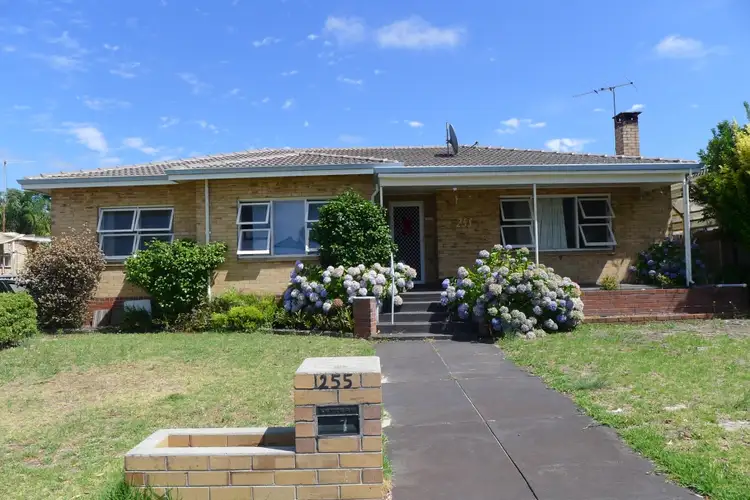 255 Steere Street, Collie WA 6225