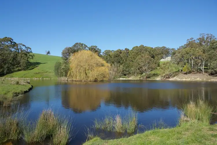 Second view of Homely rural property listing, 129 Yurittas Road, Caveat VIC 3660