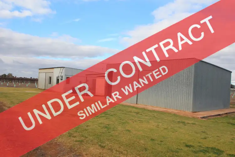 678 Ral Ral Avenue, Renmark SA 5341