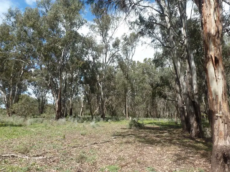 Second view of Homely rural property listing, 0 Koraleigh Road, Koraleigh NSW 2735