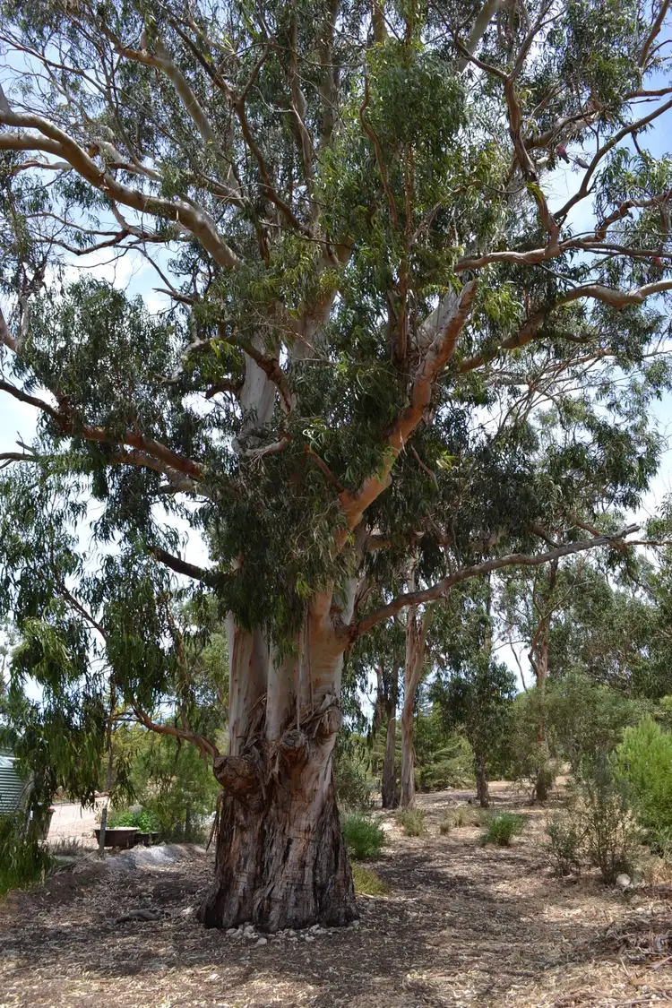 Sixth view of Homely land listing, 115 Happy Valley Road, Port Lincoln SA 5606