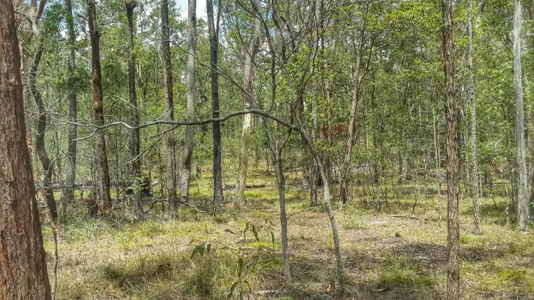 Sixth view of Homely land listing, 600 Beckmanns Road, Glenwood QLD 4570