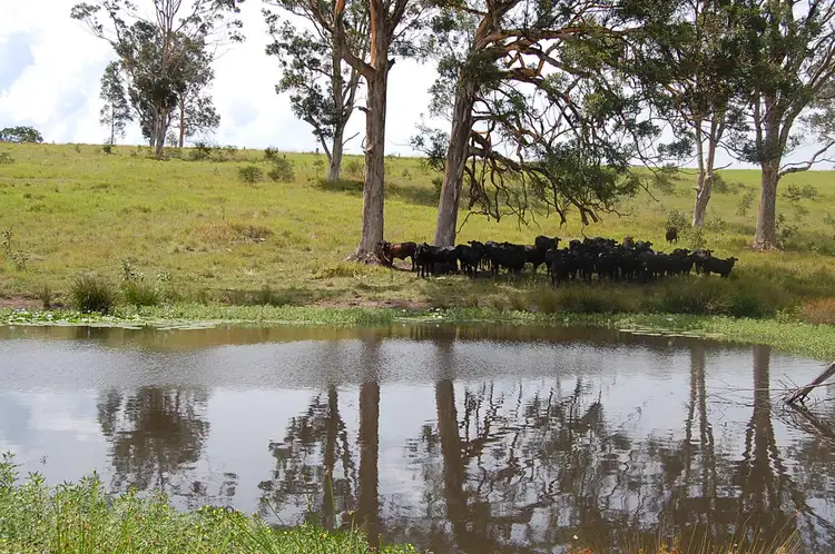 Second view of Homely rural property listing, Lot 4 Clarence Way, SANDILANDS via, Mallanganee NSW 2469