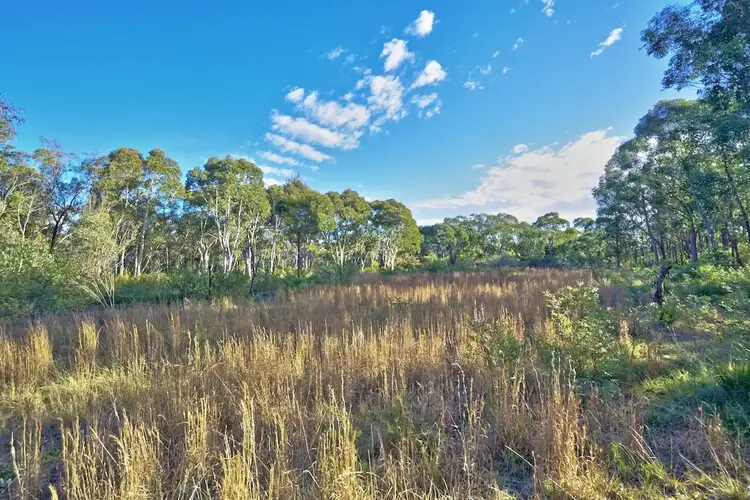 Fourth view of Homely rural property listing, 4 Hall Rd, Balmoral NSW 2571