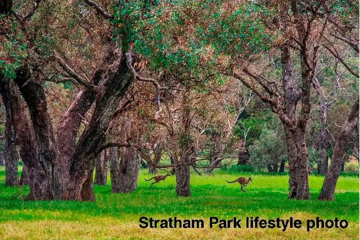 Lot 239 Bourne Loop, Stratham WA 6237