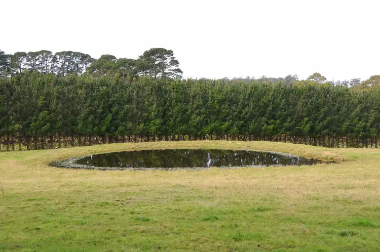Fifth view of Homely rural property listing, 220 Yarrawa Road, Moss Vale NSW 2577