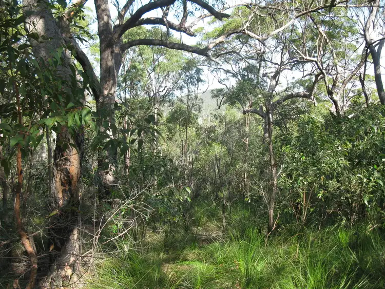 Seventh view of Homely land listing, Lot 428 Anderson Way, Agnes Water QLD 4677
