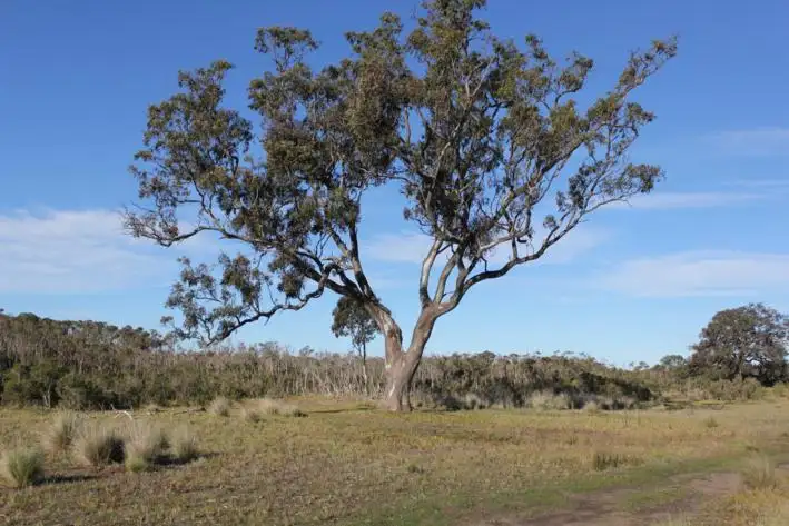 Seventh view of Homely rural property listing, Address available on request