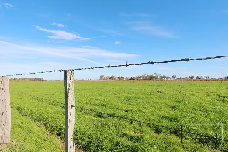 Fourth view of Homely house listing, 56 Hamleys Road, Dingee VIC 3571