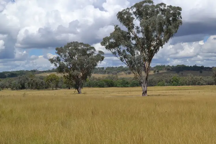 2361 Kings Plains Road, Inverell NSW 2360