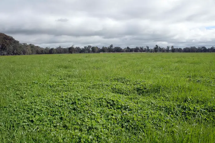 Main view of Homely rural property listing, Lot 26 Leo's Rd, Boho VIC 3669