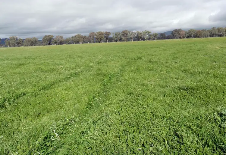Seventh view of Homely rural property listing, Lot 26 Leo's Rd, Boho VIC 3669