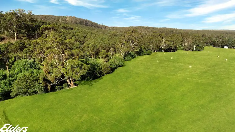 Third view of Homely rural property listing, 4258 HYLAND HIGHWAY, Won Wron VIC 3971