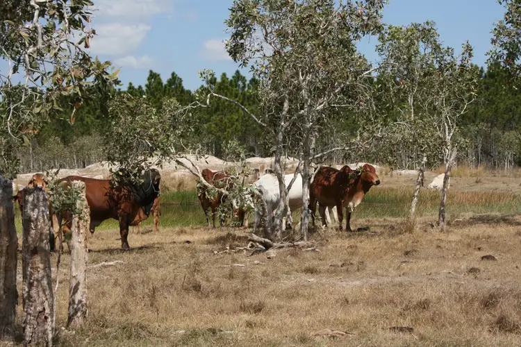 Third view of Homely rural property listing, Address available on request