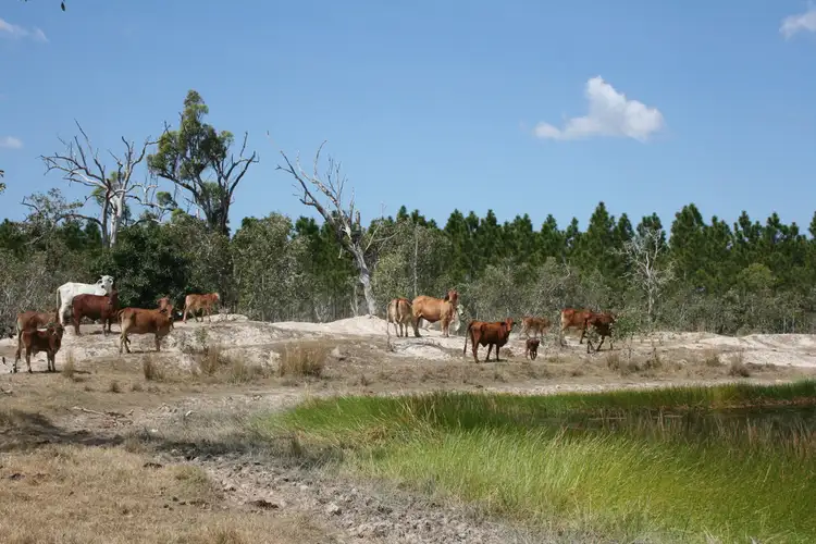 Fifth view of Homely rural property listing, Address available on request