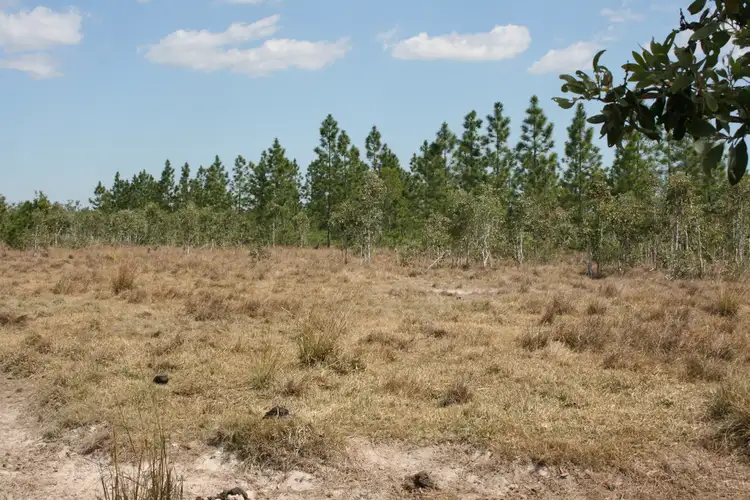 Sixth view of Homely rural property listing, Address available on request