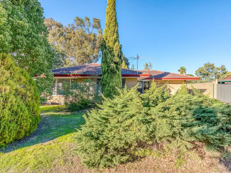 65 Lowanna Way, Armadale WA 6112